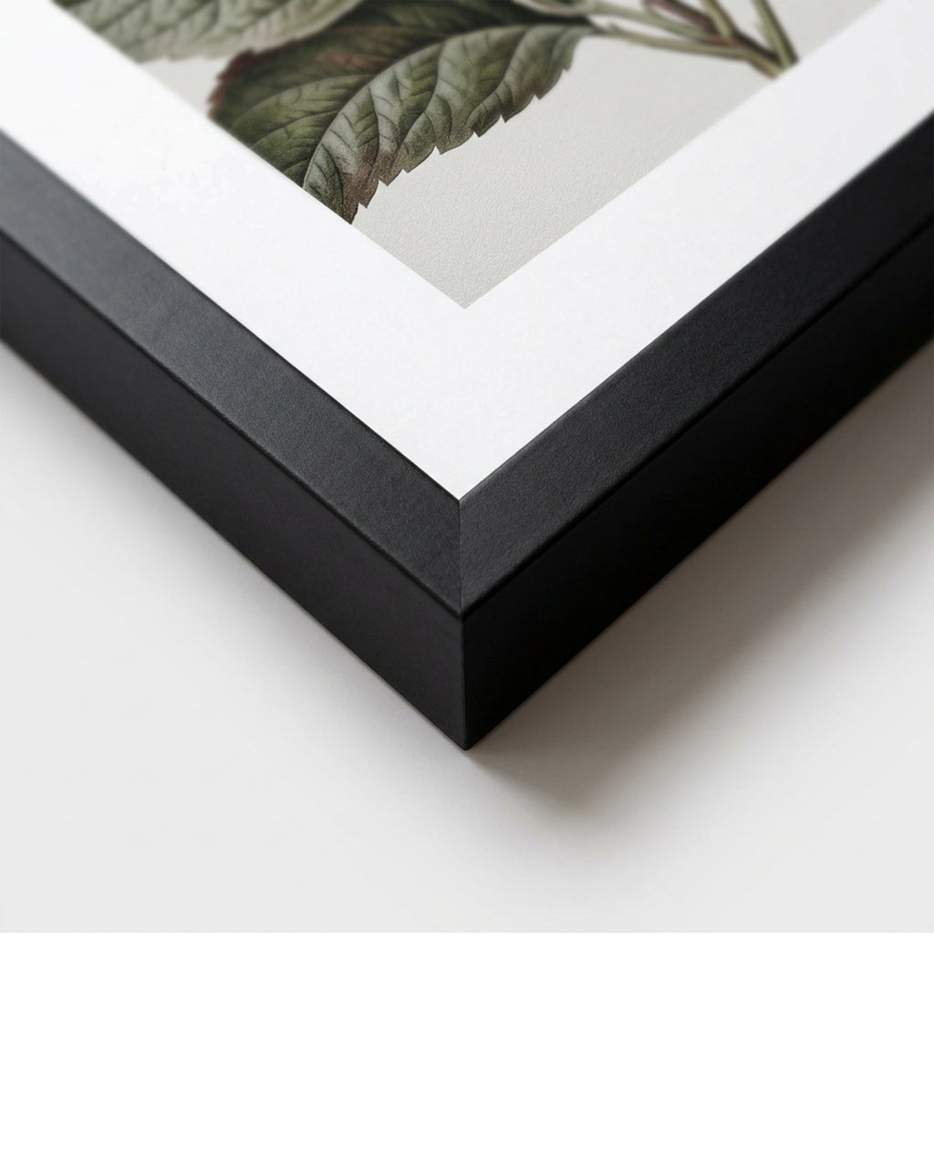 Nxzo Botanical Framed Wall Art 40 x 60 cm Black - Detail view