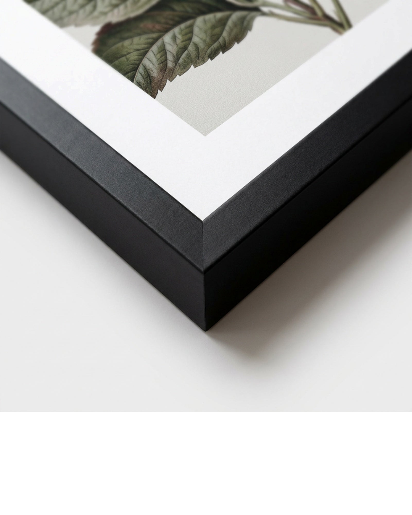 Nxzo Botanical Framed Wall Art 40 x 60 cm Black - Detail view