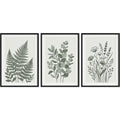 Nxzo Botanical Line Wall Picture Set Green 3 Piece